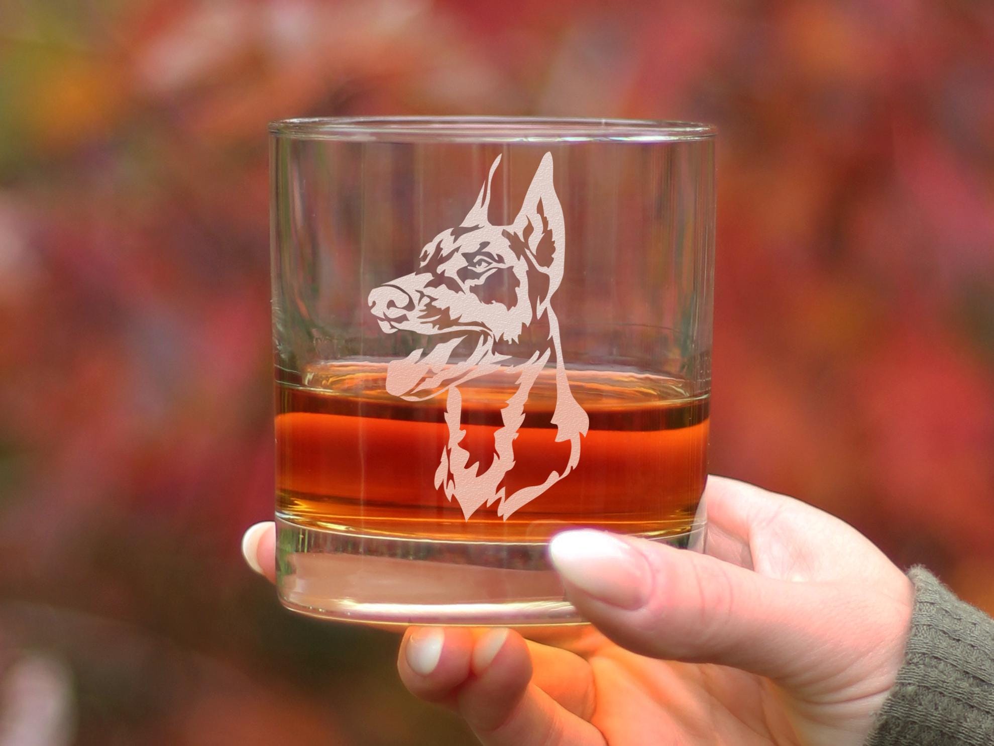Etched Doberman Rocks Glass: 10 Oz Old Fashioned Glass, Dog Lover