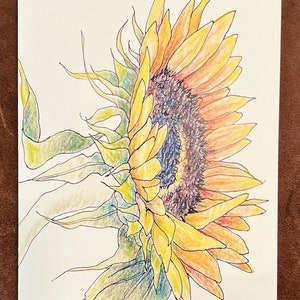 Zonnebloemen in volle bloei Enkele kaart ~ blanco kaart ~ briefpapier zonnebloem ~ notitiekaart bloem ~ Notitiekaart voor elke gelegenheid ~ Botanische notitiekaart