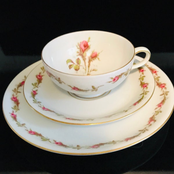 Taza De Café Y Platillo Eschenbach Rosenranke – Porcelana Alemana Con Motivo Floral (Muy Buen Estado)