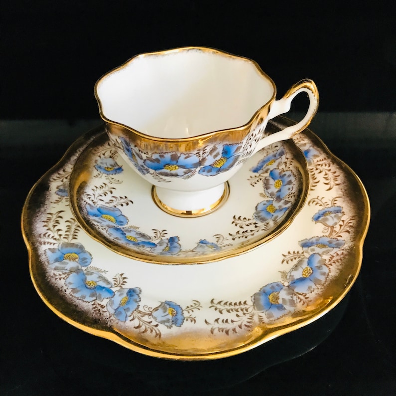 Salisbury Tea Cup and Saucer Trio England Fine Bone China Blue Etsy