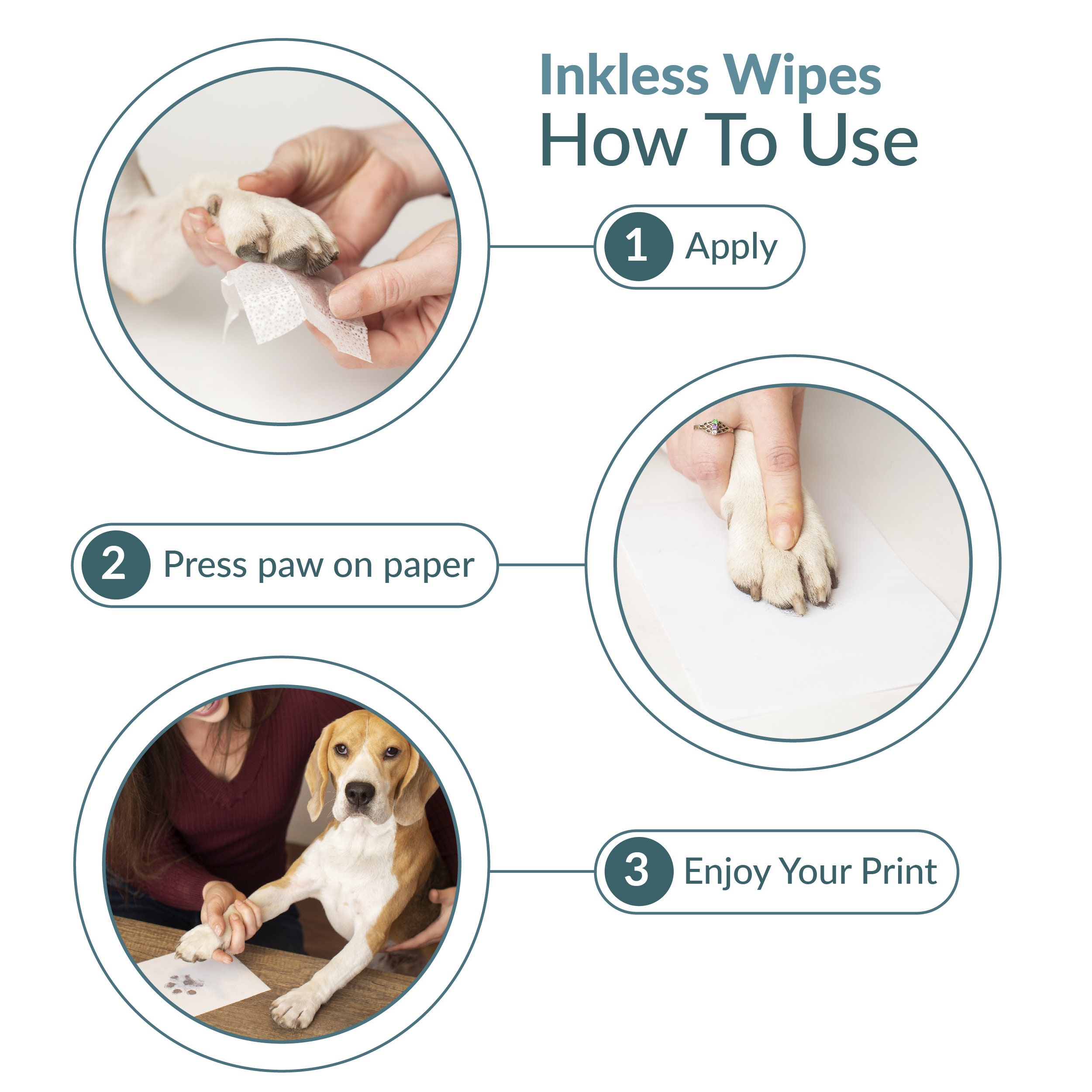 Inkless Pet Paw Print Kit Get HighQuality Paw Prints With Etsy
