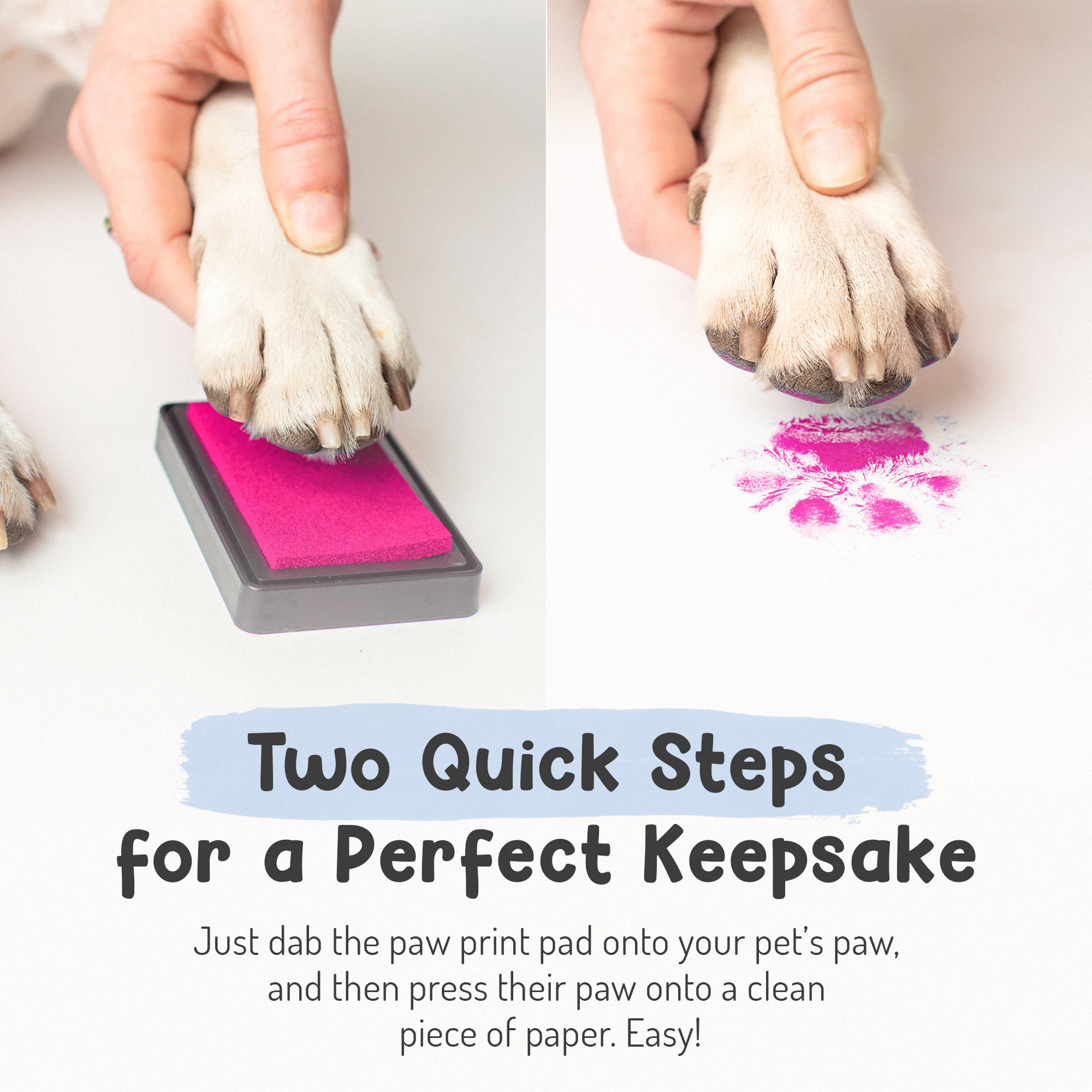 Easy-clean Pet Paw Print Kit | Paw Print Pad | Non-toxic Ink Pad for ...