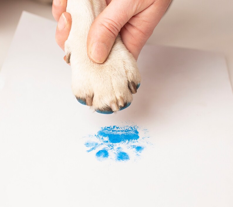 EasyClean Pet Paw Print Kit Paw Print Pad NonToxic Ink Etsy