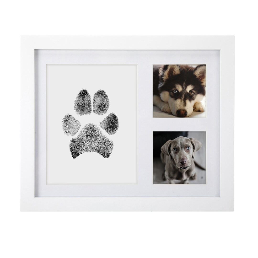 Cadre photo pour chien kit photo et impression de pattes d'animaux