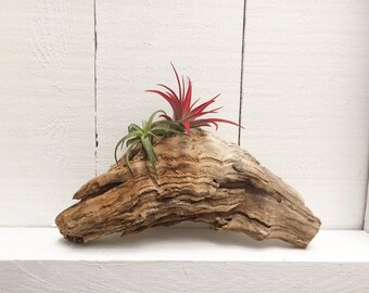 Driftwood Home Decor Etsy