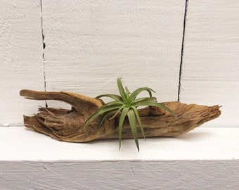 Driftwood Home Decor Etsy