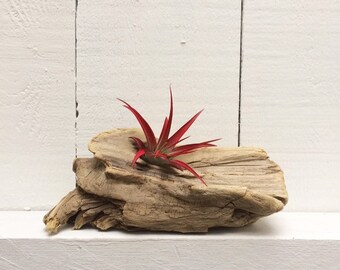 Driftwood Home Decor Etsy
