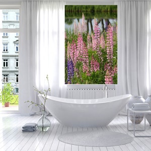 Lupine, wildflower