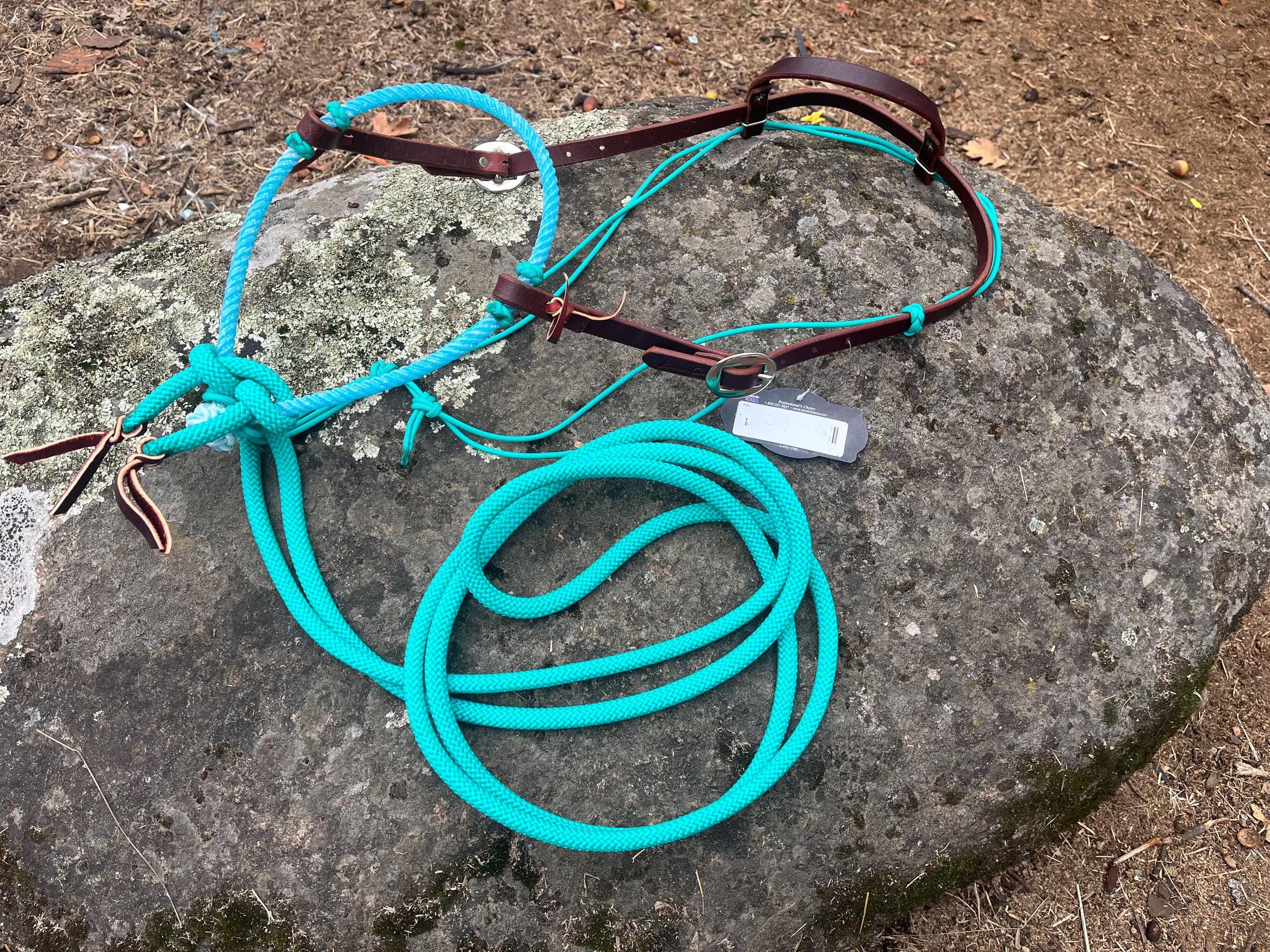 Loop Rein Loping Hackamore, With Professional Choice One Ear Headstall ...