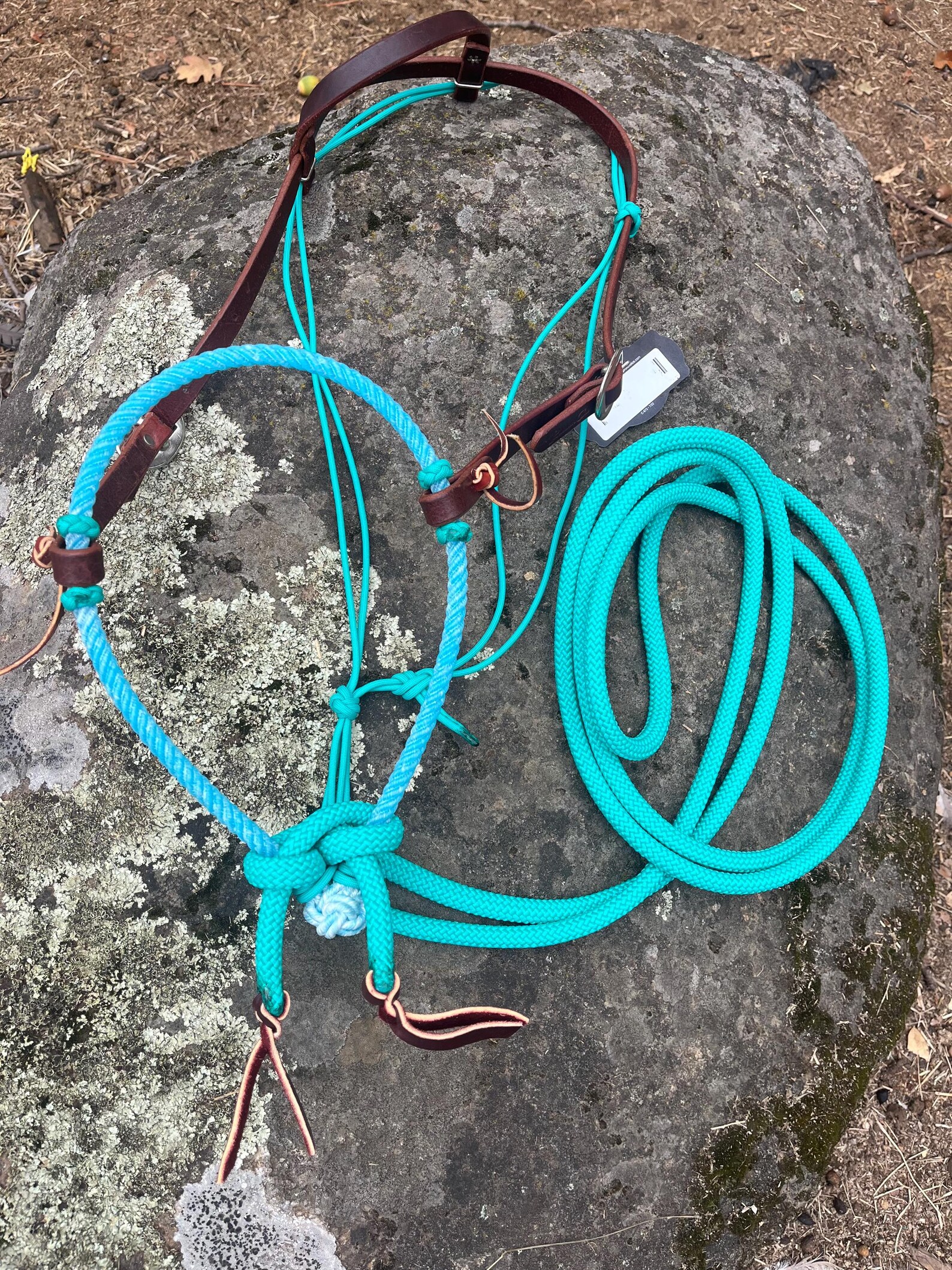 Loop Rein Loping Hackamore, With Professional Choice One Ear Headstall ...
