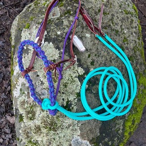 May include: A horse halter with a braided blue and purple noseband, brown leather straps, and a turquoise lead rope. The halter is designed for equine use and features metal hardware for adjustment and attachment.