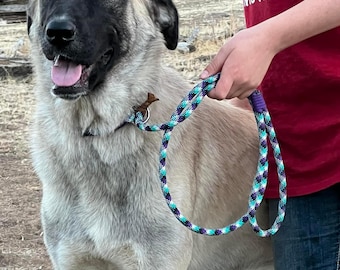 Custom Slip Lead for Dogs & Small Livestock: 6ft Adjustable Leash