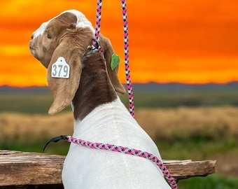Neck rope, adjustable collar/lead all in one.  For small livestock, dogs, & more.