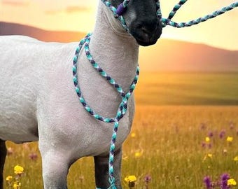 Livestock halter.   3/8” fully adjustable rope halter for sheep, goats, cows, and more.