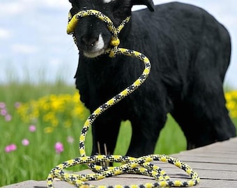 Mini Livestock Halter, Adjustable Rope Halter for Sheep, Goats, of all sizes