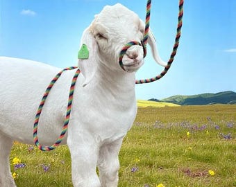 Pocket Halter: 3/8" x 10ft Critter Catching Rope