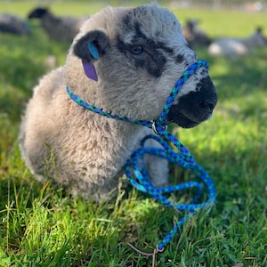 Pocket halters. Great for catching critters, and many other uses.