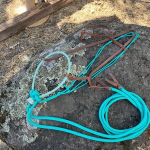 Handmade Loping Hackamore: Lariat Noseband, Colt Starting