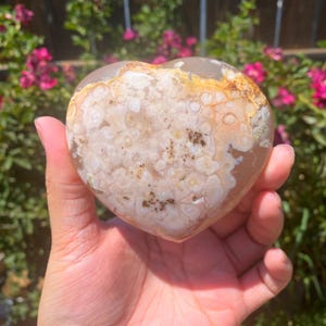 flower agate heart