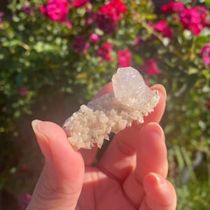 dog tooth calcite mini diamond cluster with pyrite