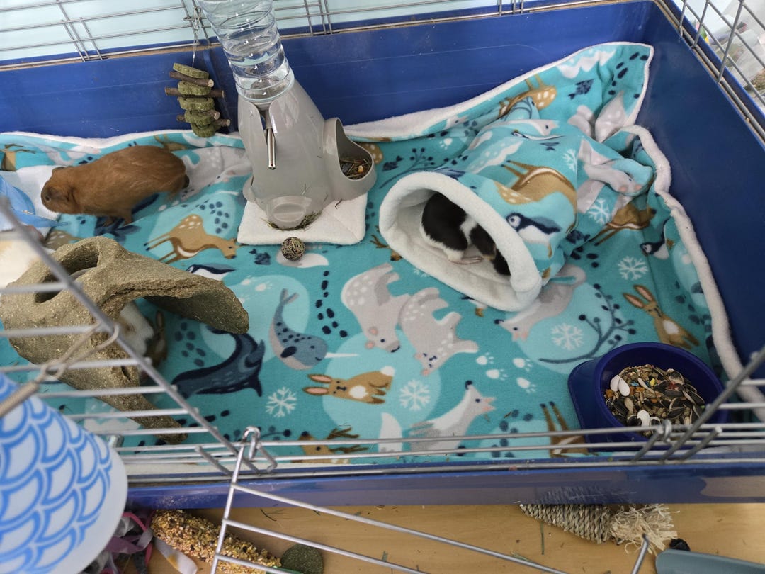 Image showcasing Guinea Pig Fleece Cage Liners - Etsy