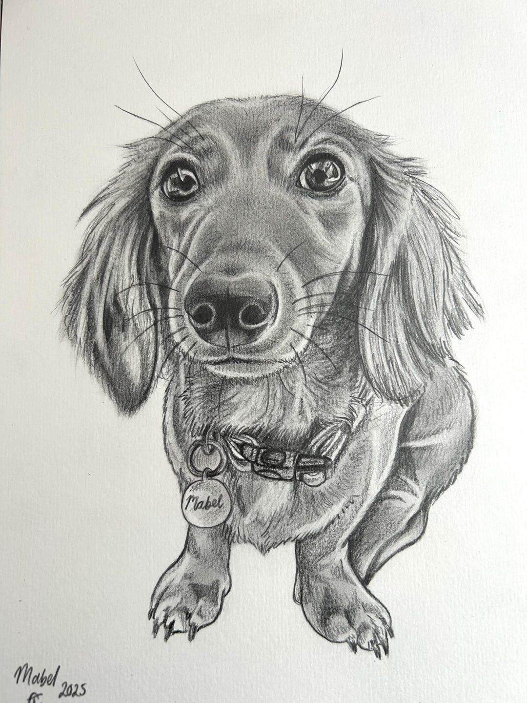 Custom A4 Hand Drawn Pet Portraits in Graphite Pencil | Peronalised ...