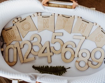 Baby Milestone Banner, Wood Numbers, Engraved Banner, Baby Milestone Blocks, Milestone Months, Monthly Banner, Baby's First Year