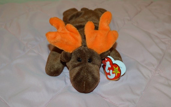 TY CHOCOLATE the MOOSE BEANIE BABY PRICE STICKER MINT with MINT TAG