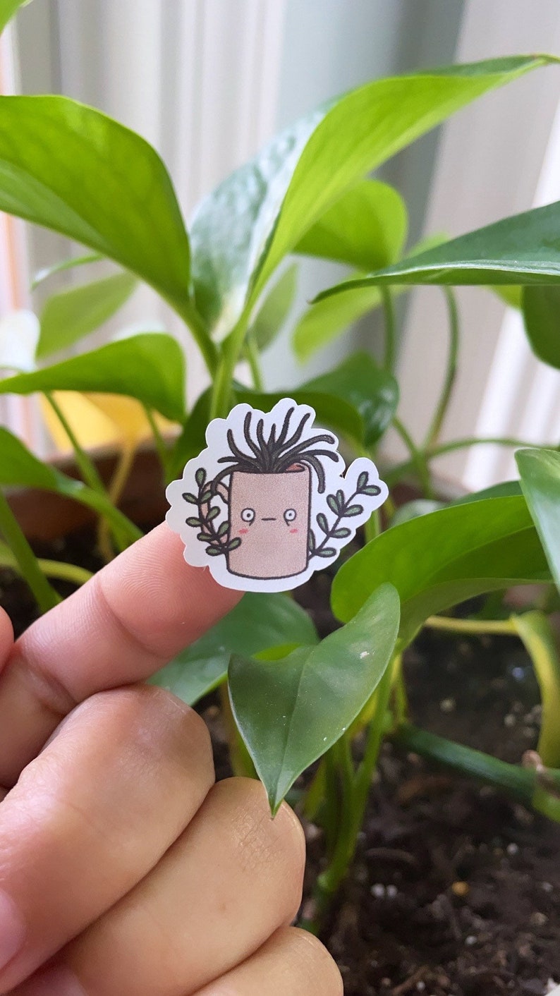 Plant Stickers Succulent Stickers Cute Plant Sticker Plant Etsy