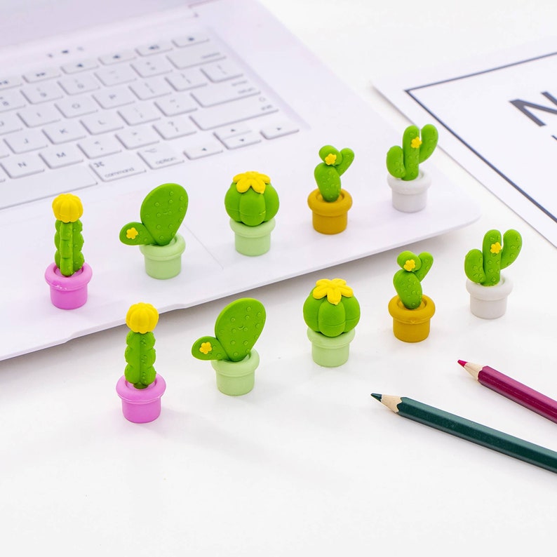 Cactus Plant Eraser Pack Pot Plant Eraser Novelties Cactus Etsy