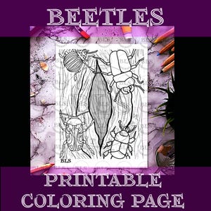 Printable Coloring for Kids-Beetles Coloring Page-Bug Drawing-Insect Line Art-Original Artwork-Indoor Activity