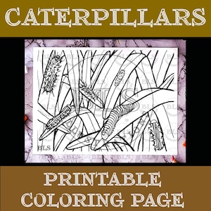 Adult Coloring Page-Caterpillars Printable Coloring-Coloring Sheet for Kids-Line Art-Original Artwork-Indoor Activity-Digital Download