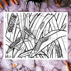 毛虫の塗り絵 - 印刷可能な塗り絵 - ストレス解消、マインドフルネス、リラクゼーション 10x8 塗り絵 - デジタルダウンロード PNG