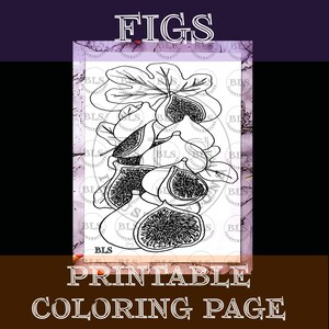 Coloring Page-Figs Printable Coloring- Coloring Sheet for Adults-Indoor Activity-Line Art-Cartoon Illustration-Hand Drawn Original Artwork