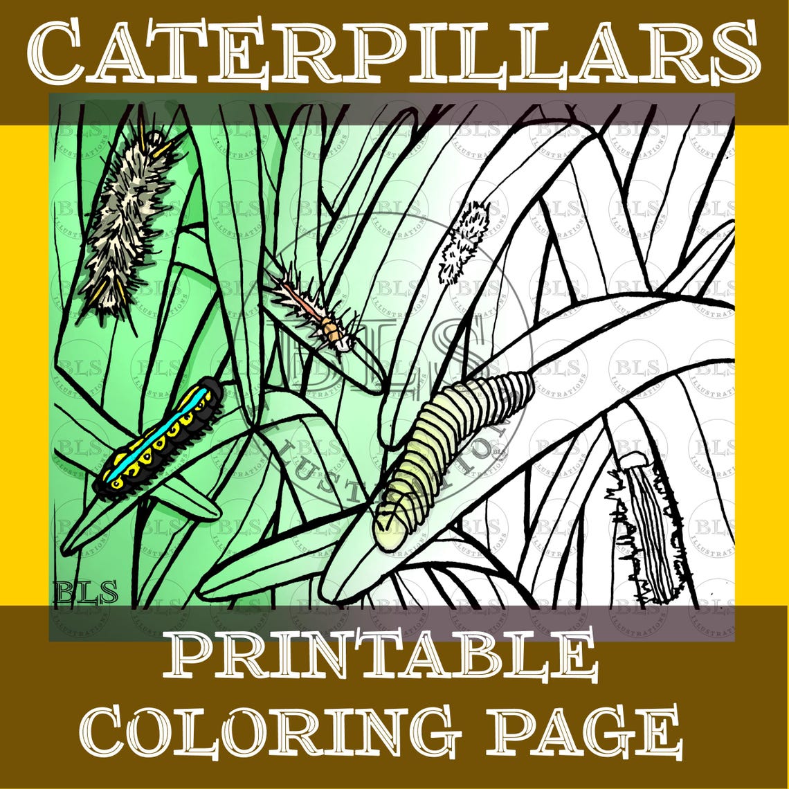 Digital Coloring Sheet-printable Coloring-caterpillars Coloring Page ...