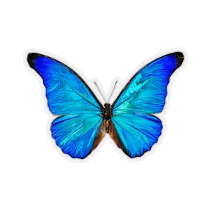 Adesivo de borboleta azul, adesivos realistas Morpho Anaxibia, vinil para laptop, garrafa de água fofa, etiqueta de carro, menina, parede, telefone, mural, decalque, corte