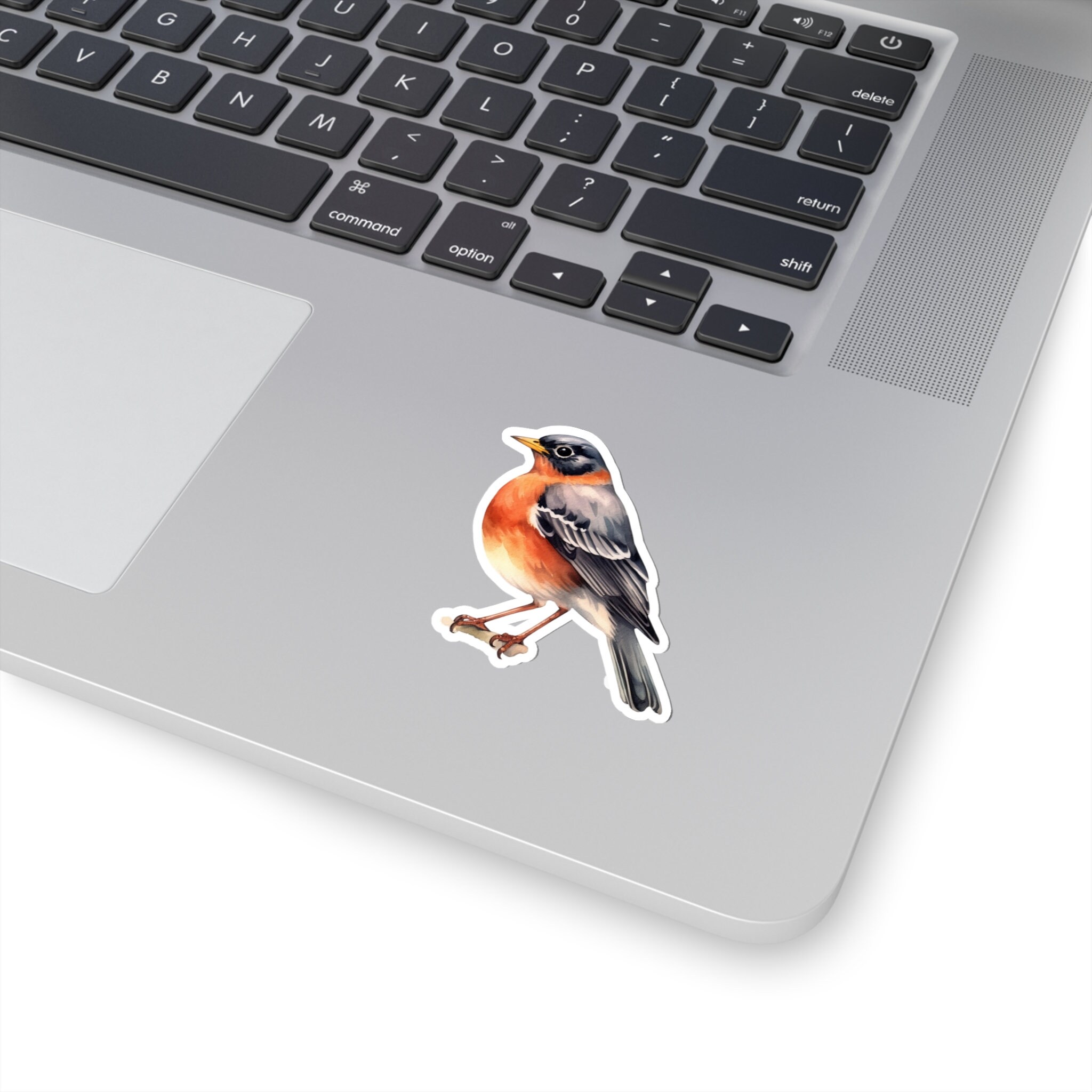 Pink Robin Sticker American Robin Sticker Decal, Bird Watercolor Art Vinyl Laptop Cute ...