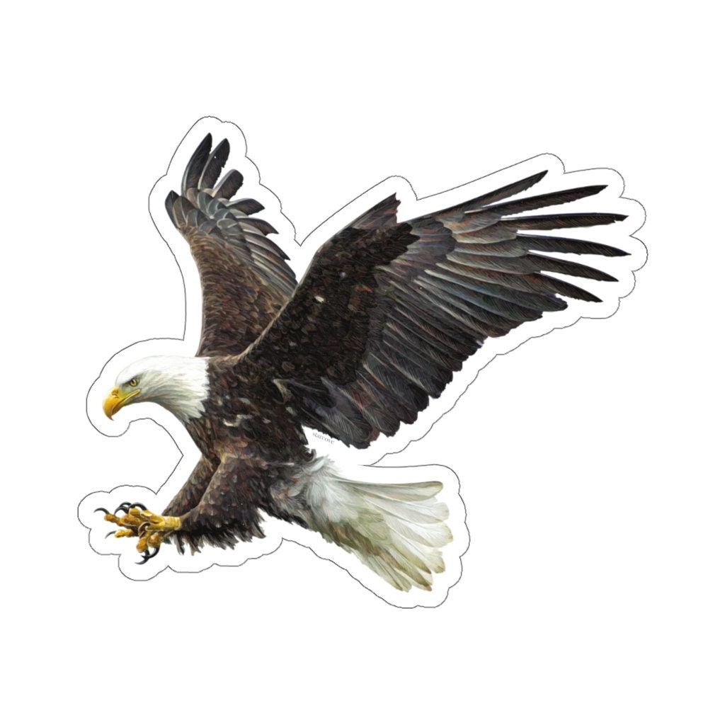 Pegatinas de vinilo para coche, diseño de animales, águila, halcón, pájaro  de oración, metal Rip S7083