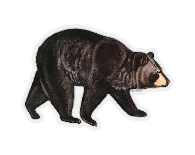 Monkey Sticker Animal Banana Laptop Decal Vinyl Cute - Etsy