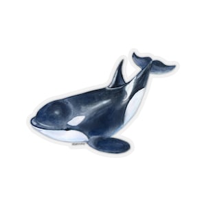 Orca Stickers, Killer Whale Ocean Animal Watercolor Laptop Vinyl Cute Waterproof Waterbottle Tumbler Car Bumper Decal Party Small Large