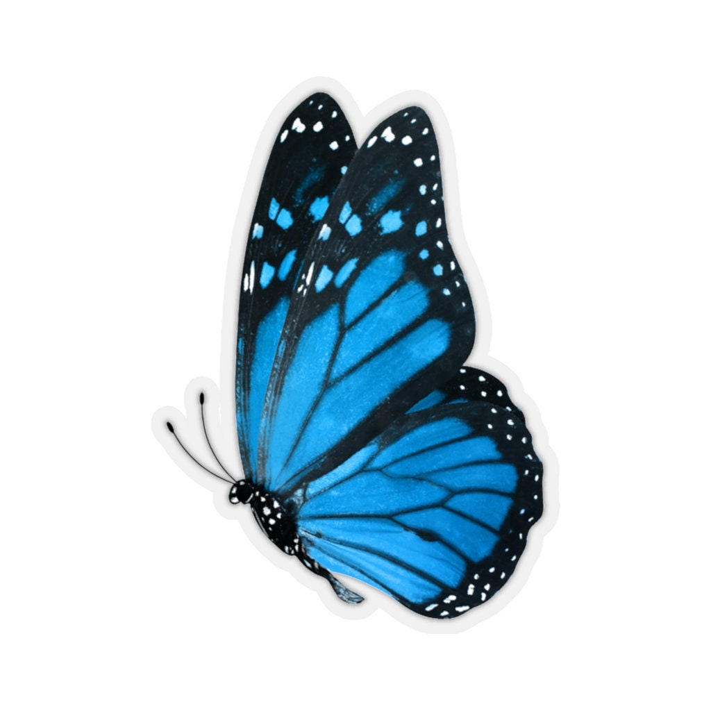 Sticker Papillon Monarque bleu sticker you