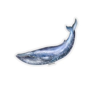 Calcomanía de ballena jorobada, vinilo azul acuarela vsco portátil lindo impermeable para botella de agua vaso parachoques de coche etiqueta estética calcomanía de pared