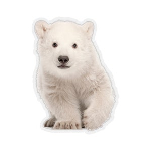 Polar Bear Cub Sticker, dierlijke Kawaii Laptop Decal Vinyl Leuke Waterbottle Tumbler Auto Waterdichte Esthetiek Die Cut Muurschildering