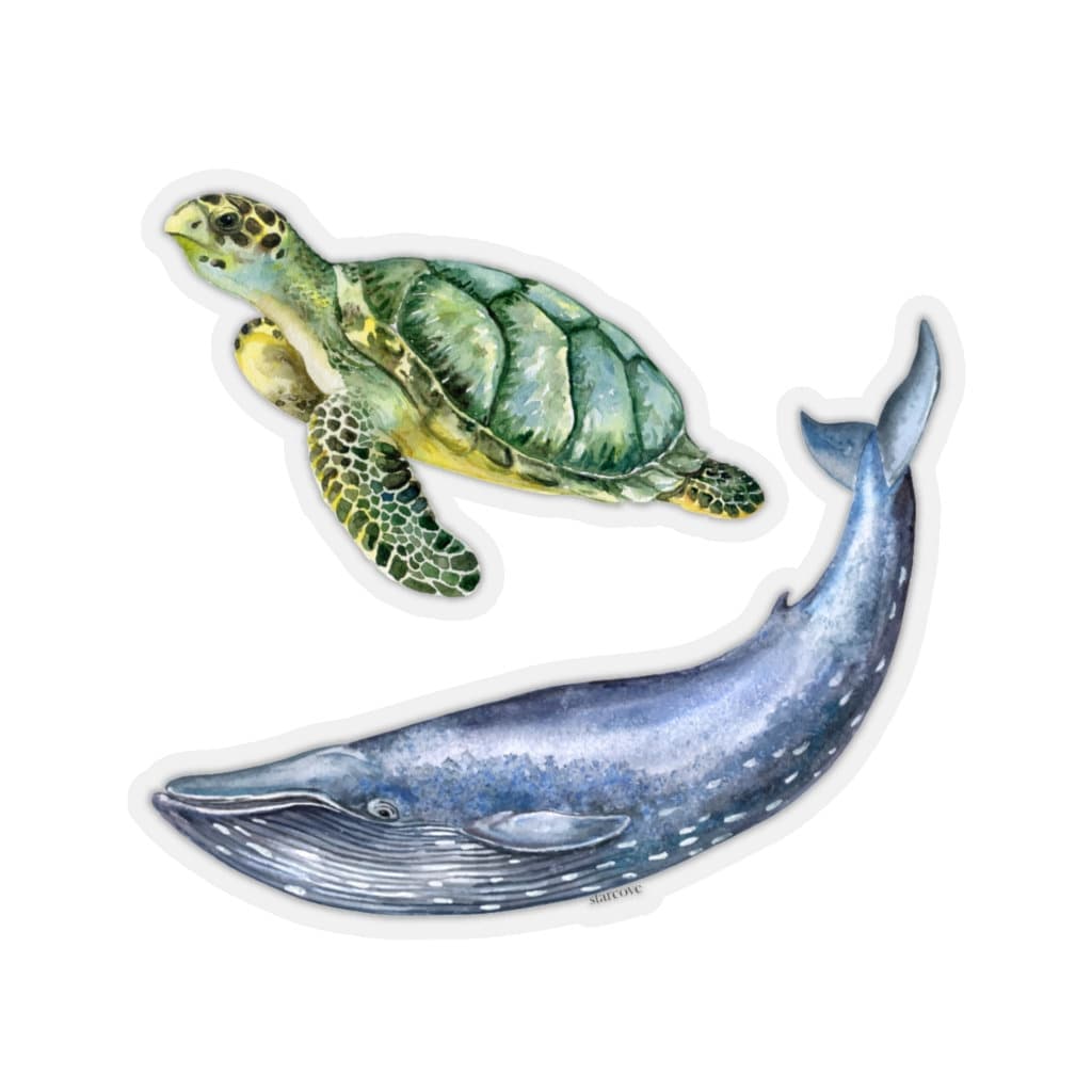 Turtle Whale Sticker Pack Vsco Vinyl Decal Bumper Sticker | Etsy