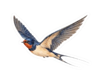 Barn Swallow Bird Sticker Decal, Blue Flying Birdwatcher Watercolor Art Vinyl Laptop Waterbottle Tumbler Car Waterproof Bumper Clear Die Cut