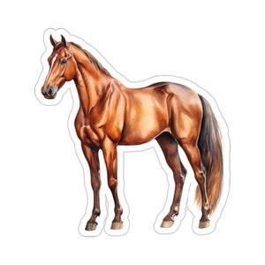 Pferd Aufkleber Aufkleber, braune Tier Art Vinyl Laptop niedliche Wasserflasche Becher Auto wasserdichte Stoßstange klar ästhetisch gestanzte Wand