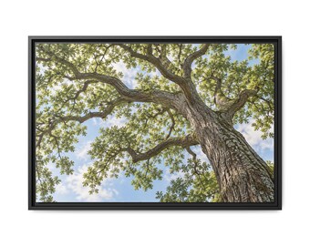 Oak Tree Canopy Canvas Wood Framed, Green Foliage Woodland Wall Art Print Artwork Decor Small Large Hanging Matte Modern Vintage Landscape