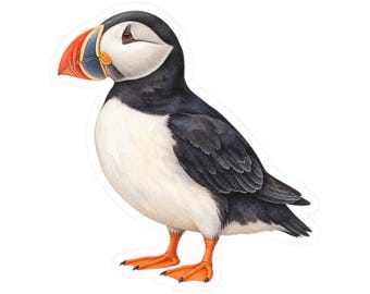 Atlantic Puffin Sticker Decal, Bird Seabird Watercolor Art Vinyl Laptop Cute Waterbottle Tumbler Car Waterproof Bumper 4x4 Clear Die Cut