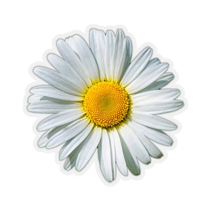 Daisy Sticker Decal, White Flower Car Laptop Decal Vinyl Cute Waterbottle Tumbler Bumper Aesthetic Window Wall Mural