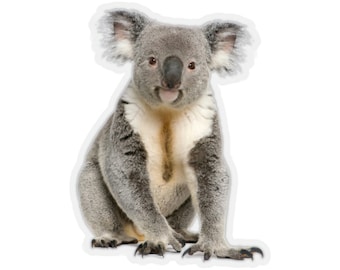 Koala Bear Sticker, Male Australian Animal Cute Vinyl Decal Label Phone Transparent Clear Small Large Cool Art Computer Hydro Flask